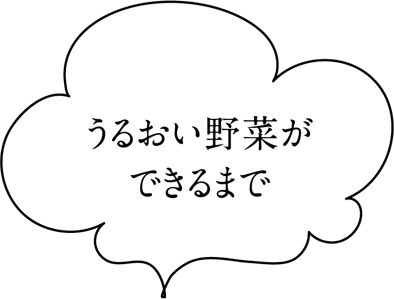 うるおい野菜ができるまで