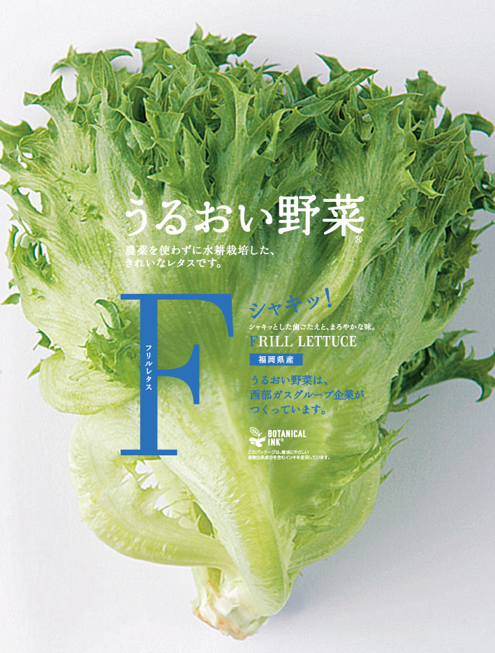 フリルレタス